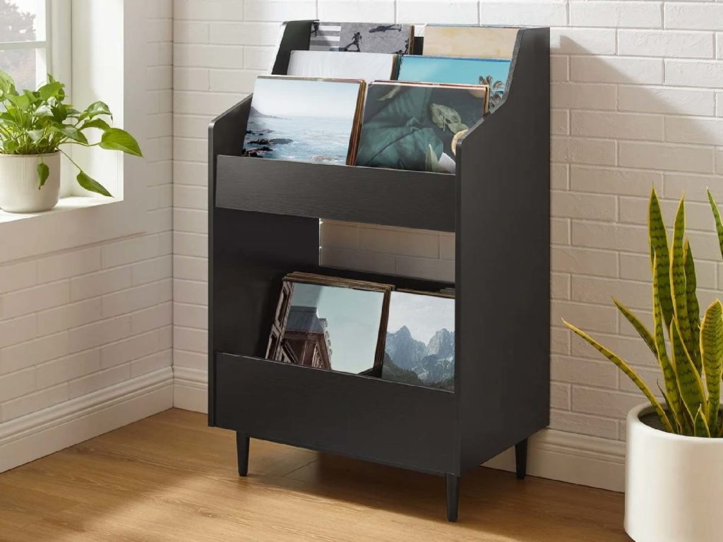 Liam-Record-Storage-Stand